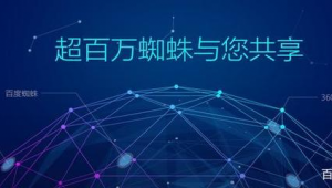 百萬蜘蛛池服務器配置_百度蜘蛛池原理